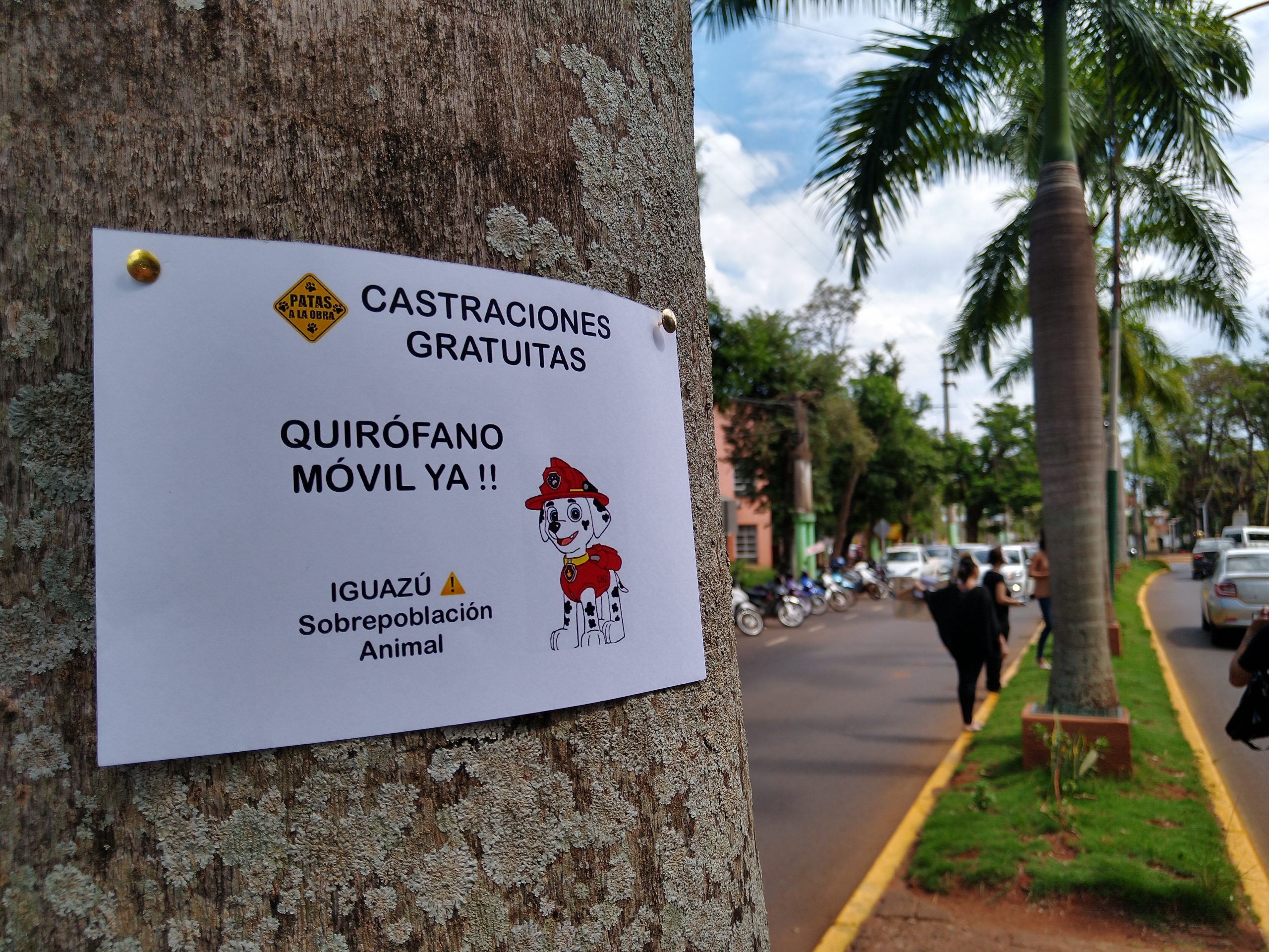 Iguazú: El municipio se comprometió a reactivar el quirófano móvil, pero no dio fechas