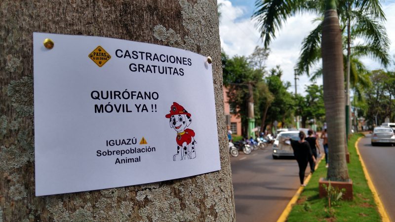 Ante la falta de respuestas proteccionistas vuelven a la calle ¡Quirófano móvil ya!