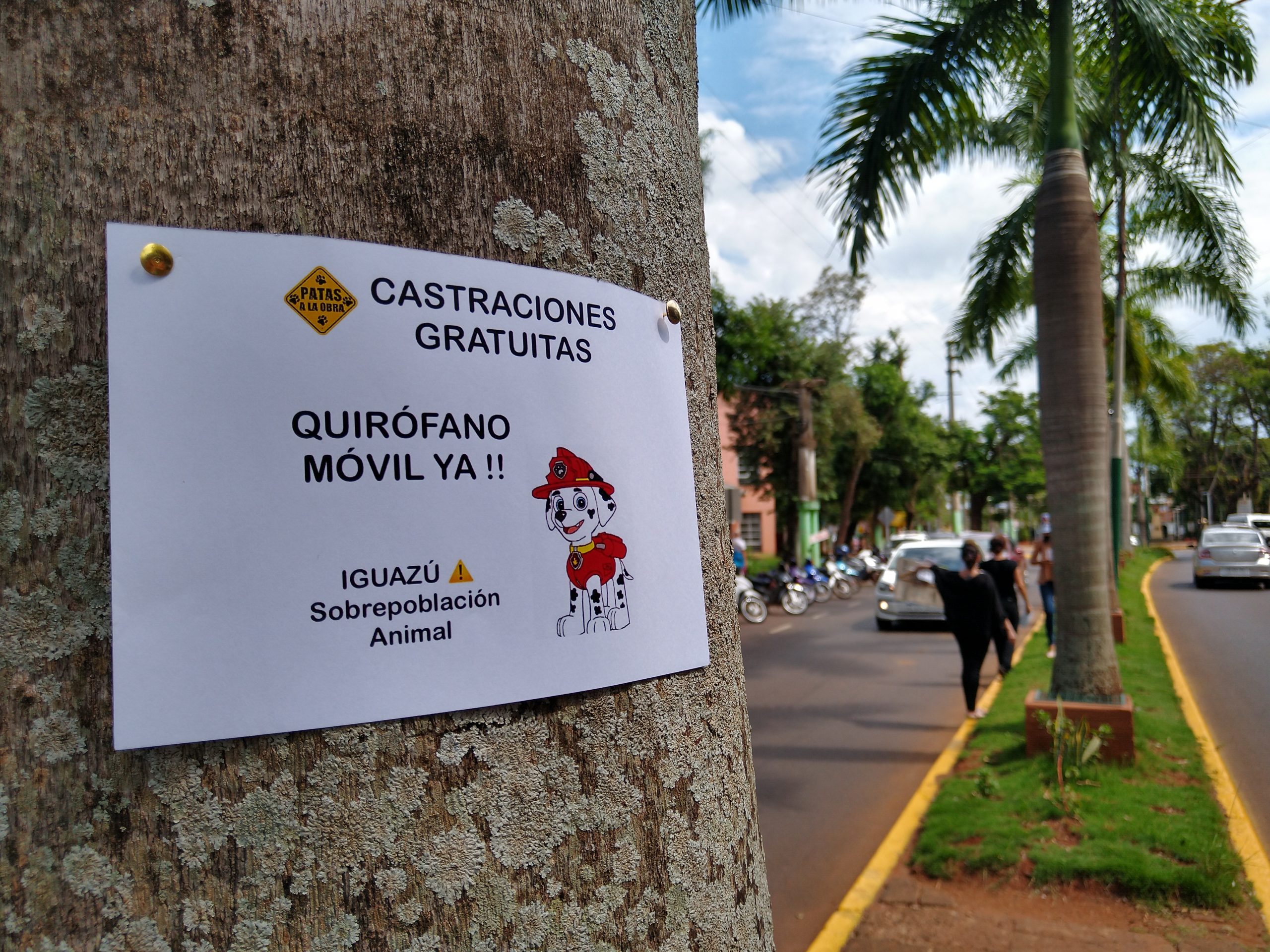 Ante la falta de respuestas proteccionistas vuelven a la calle ¡Quirófano móvil ya!