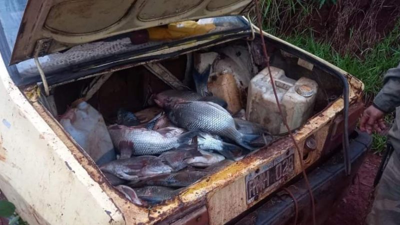 Detectaron pescadores furtivos Parque Provincial Urugua-í