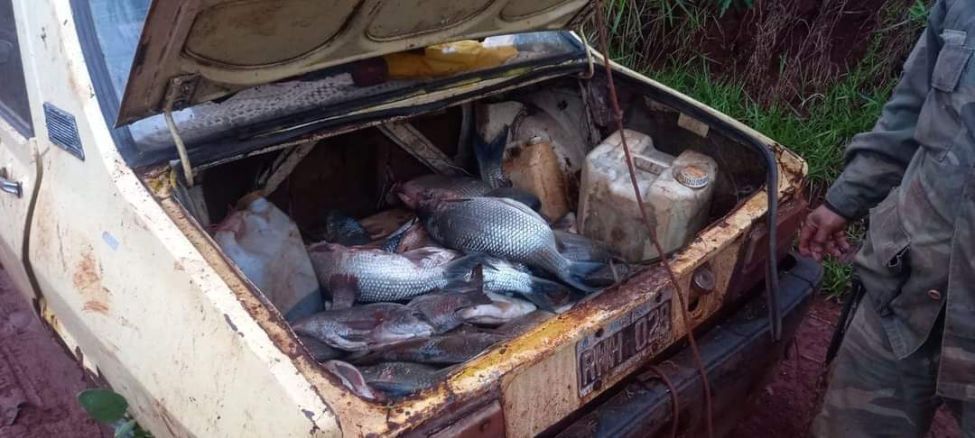 Detectaron pescadores furtivos Parque Provincial Urugua-í