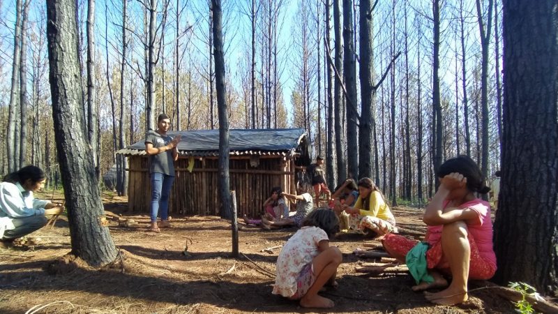 Puente Quemado: Arauco busca desalojar a familias Mbya de sus territorios