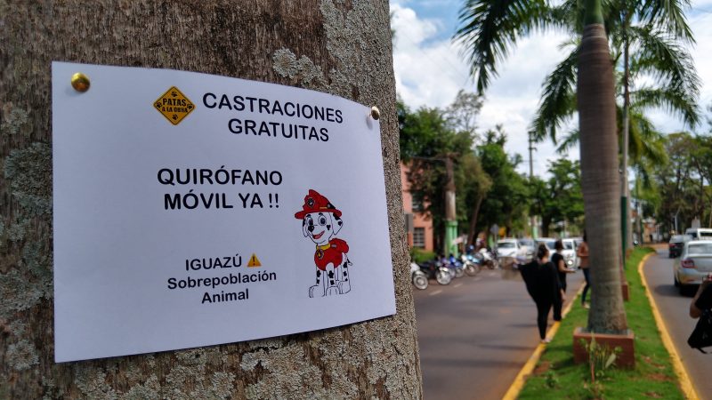 Organizan un desfile de mascotas pero aún no activan el quirófano móvil