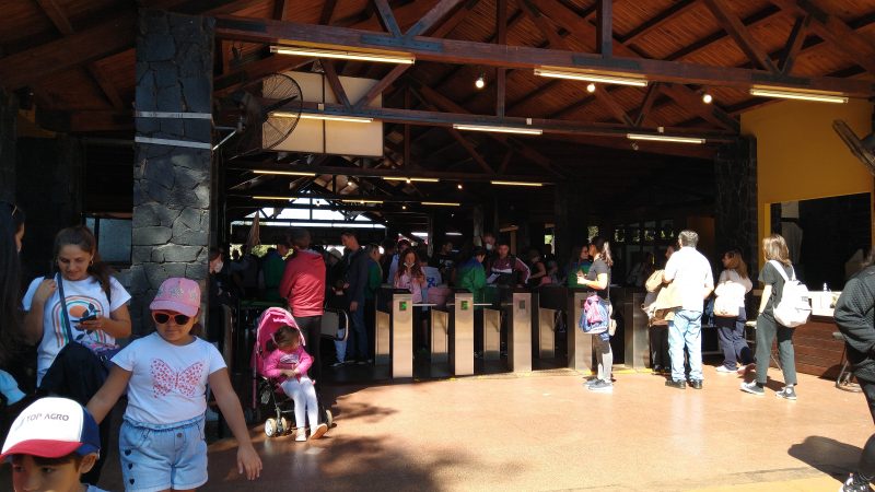 Advierten a los turistas que ingresan a cataratas después de las 12 que lo hagan con transporte público