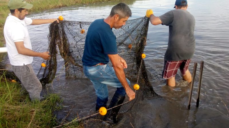 Integrantes de la comunidad Yryapú se capacitaron en piscicultura y acuicultura