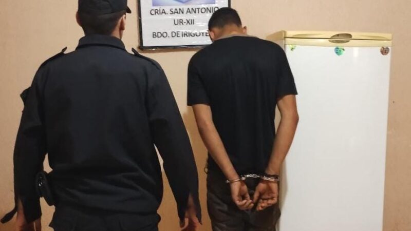 Le robó la heladera a su hermano y cuando intentó esconderla fue detenido