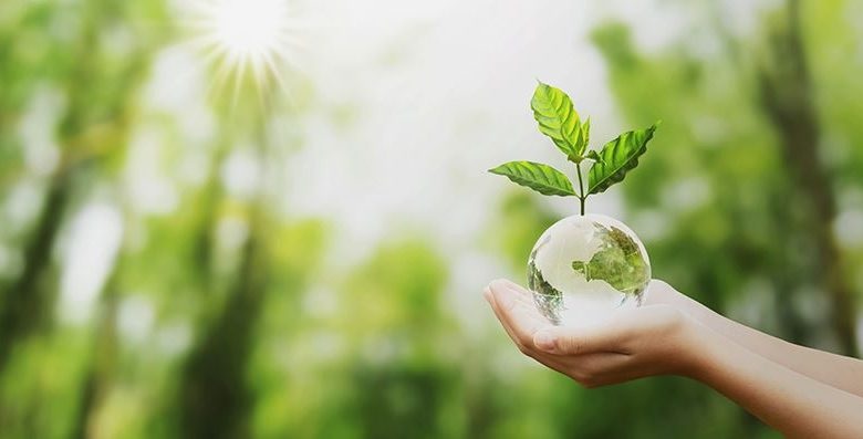 Nuevo curso de educación ambiental: “Consumo responsable”