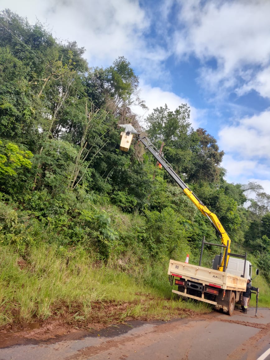 Tras las intensas tormentas, reemplazaron infraestructura dañada en San Ignacio e Irigoyen