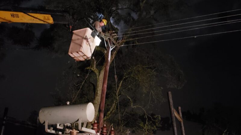 Continúan los trabajos preventivos de mantenimiento de redes eléctricas en la provincia