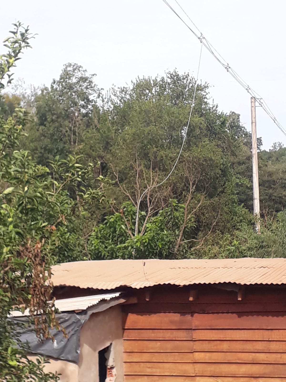 “Escuchamos una explosión y cayó el cable sobre nuestra casa”