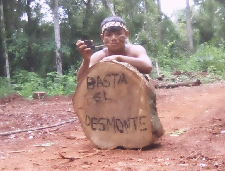 El gobierno de Misiones ordenó frenar los desmontes en el Valle del Cuña Pirú reconociendo derechos indígenas