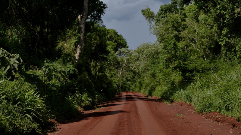 Planean mejorar ruta que une el Parque Iguazú y Andresito