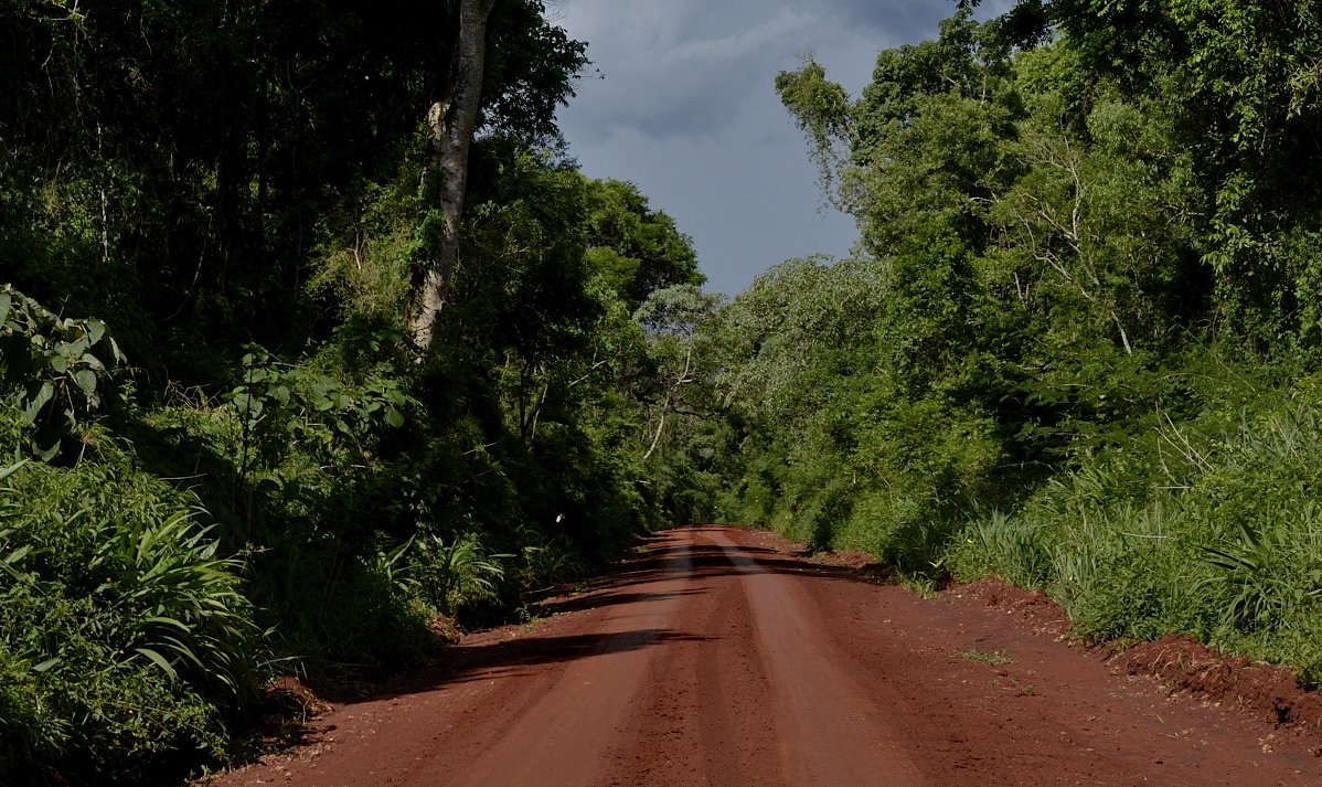 Planean mejorar ruta que une el Parque Iguazú y Andresito