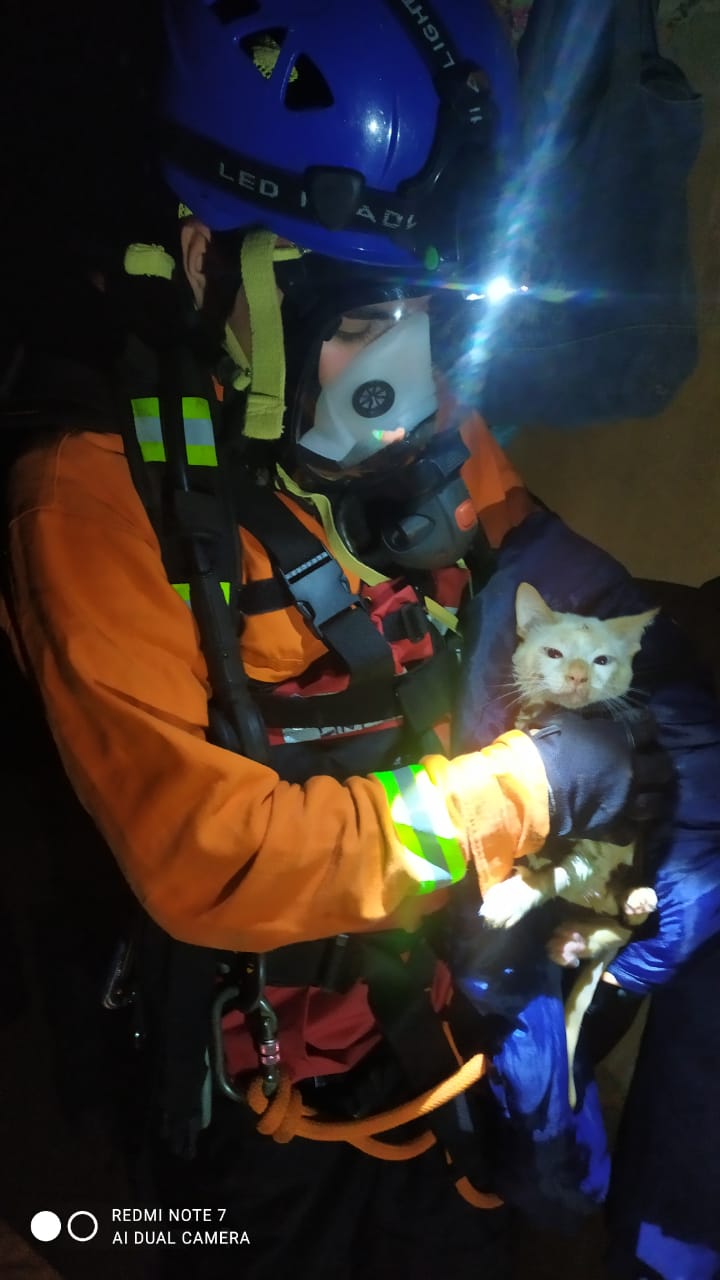 Grupo GERSI rescató un gato de un pozo de 15 metros de profundidad