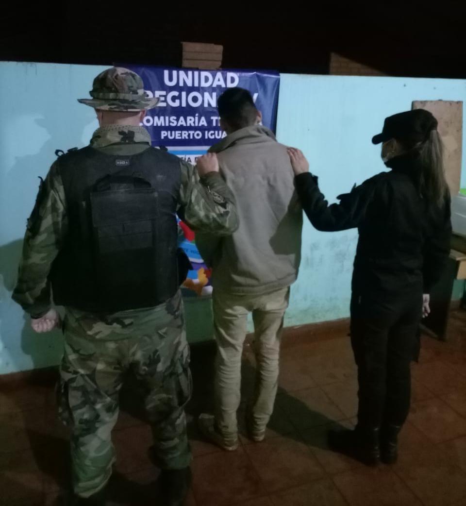 Policías y Guardaparques frustraron un apeo ilegal de palmitos plantados en áreas protegidas: hay un detenido