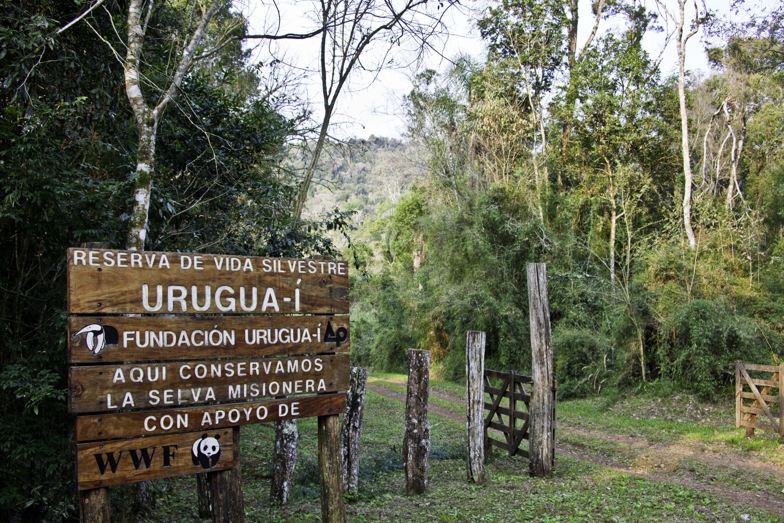 Este año la Reserva de Vida Silvestre Urugua-í cumple 25 años