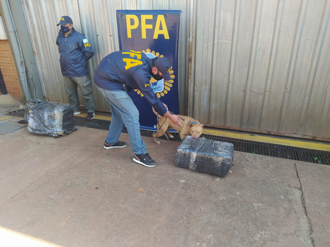 Narco encomiendas: incautaron 76 kilos de marihuana y detuvieron a tres personas