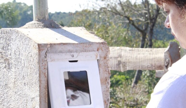 Programa Acceder: 25 familias se sumaron al servicio eléctrico en San Pedro