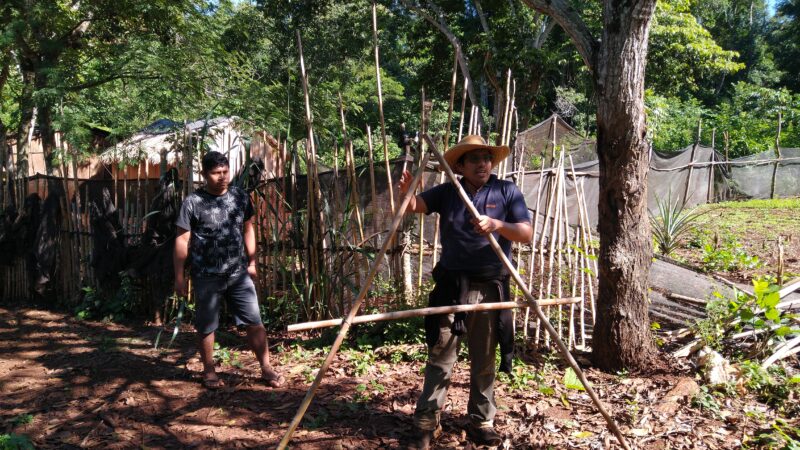 Capacitación en agrofloresta y venta de la producción de la huerta en la comunidad Yryapú