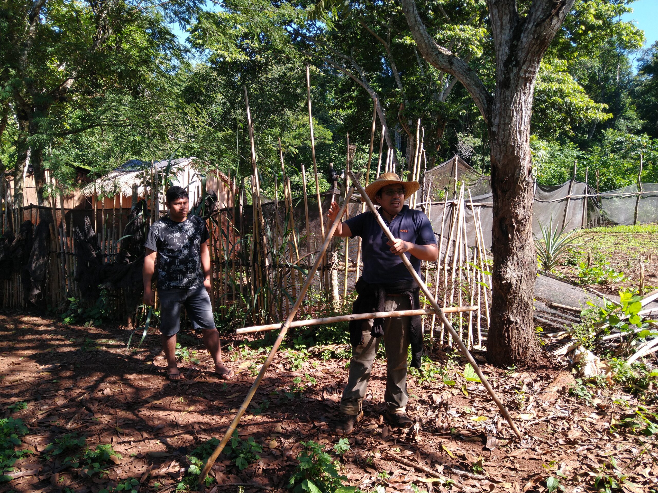 Capacitación en agrofloresta y venta de la producción de la huerta en la comunidad Yryapú