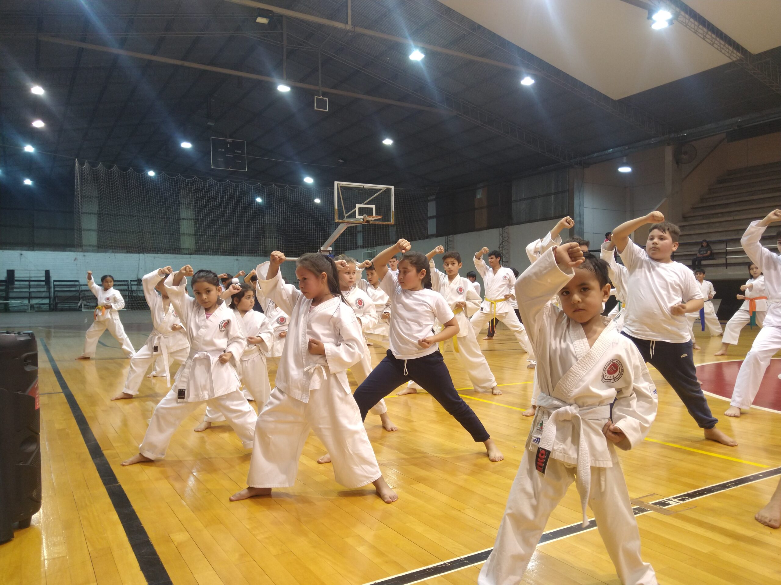 Iguazú: 60 alumnos participaron del Seminario “Las Bases del Karate -Do Shotokan”