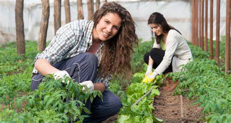 Dictaran un taller de Agroemprendimientos virtual