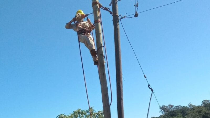 Trabajan en el fortalecimiento de las líneas eléctricas en Andresito e Irigoyen