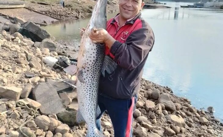 El suertudo del Paraná pescó un surubí de 33 kg y casi 2 metros de largo