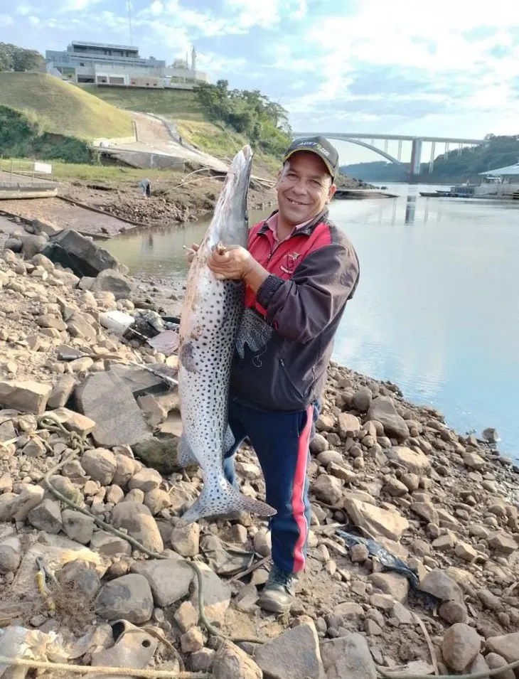 El suertudo del Paraná pescó un surubí de 33 kg y casi 2 metros de largo