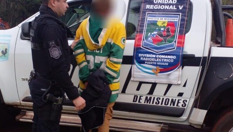 Intentó arrebatarle el bolso a una mujer en el acceso a las 600 hectáreas y terminó detenido