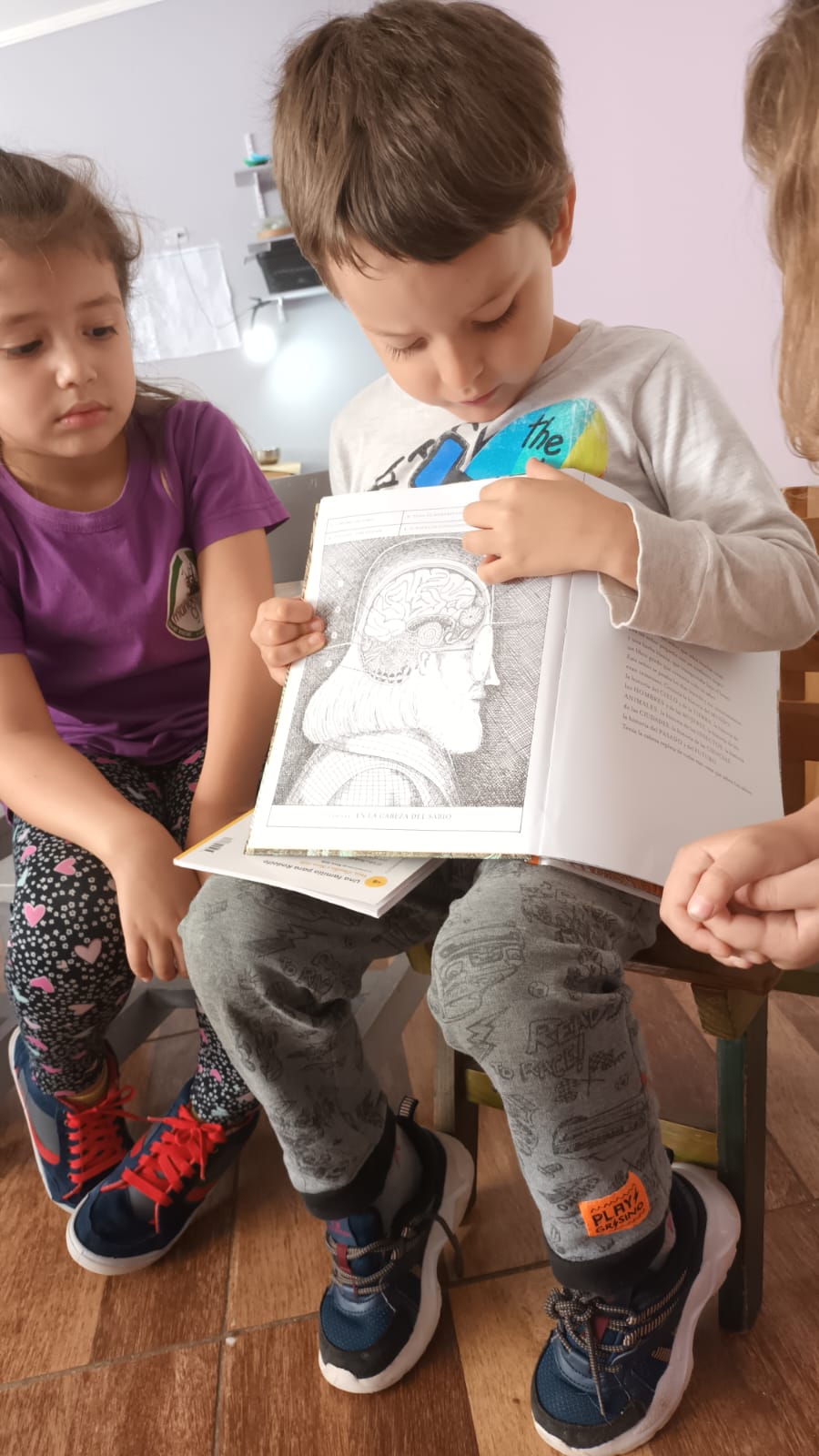 Distribuyen libros para salas de 3, 4 y 5 años de toda la provincia