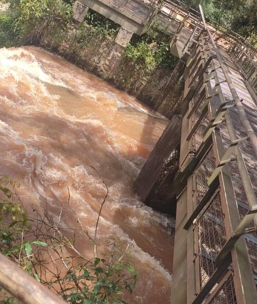 Buscan confirmar si el cuerpo hallado en Brasil correspondería al del turista desaparecido en las Cataratas del Iguazú
