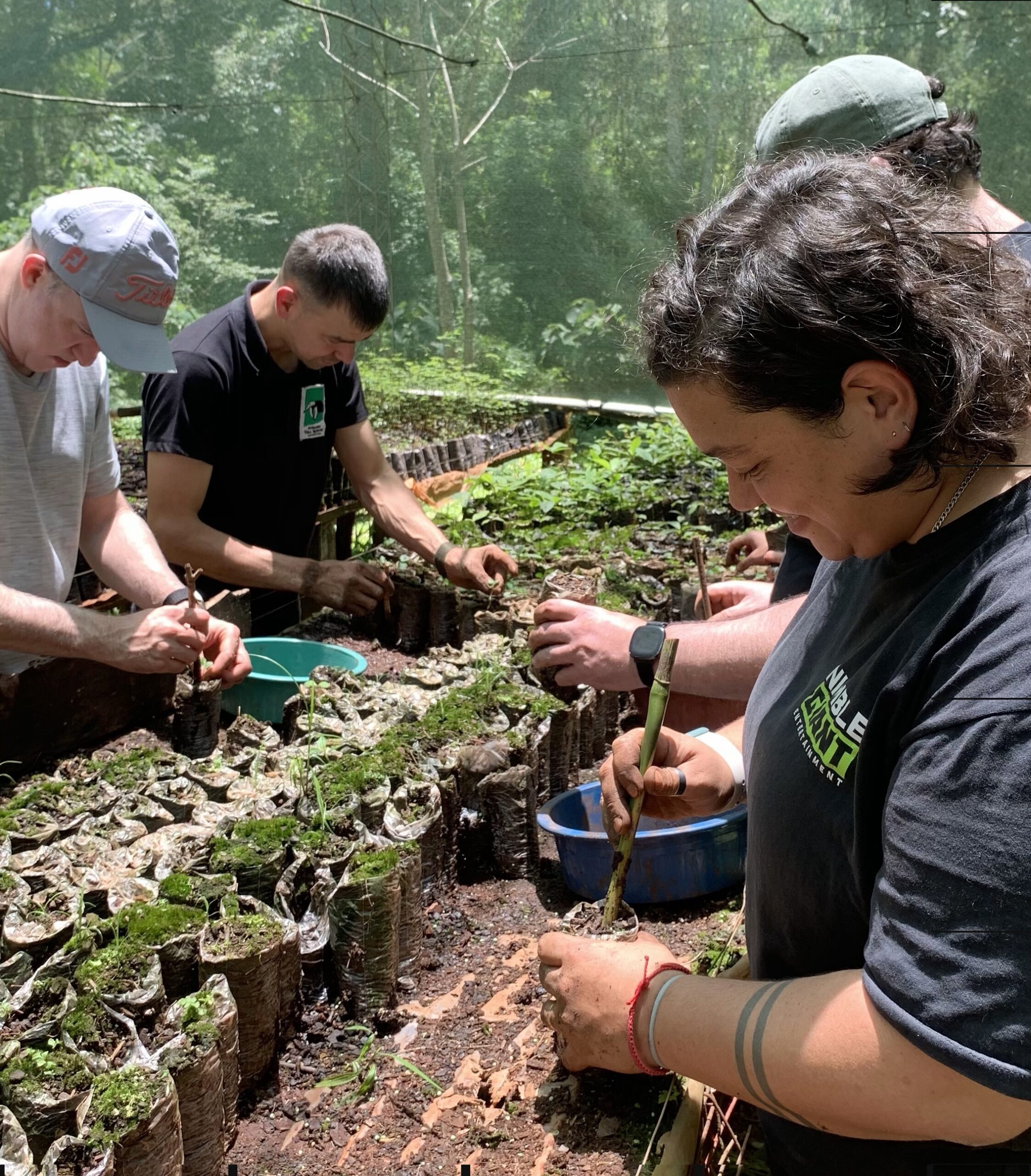 Reforestar el bosque atlántico y cuidar la naturaleza es responsabilidad de todos