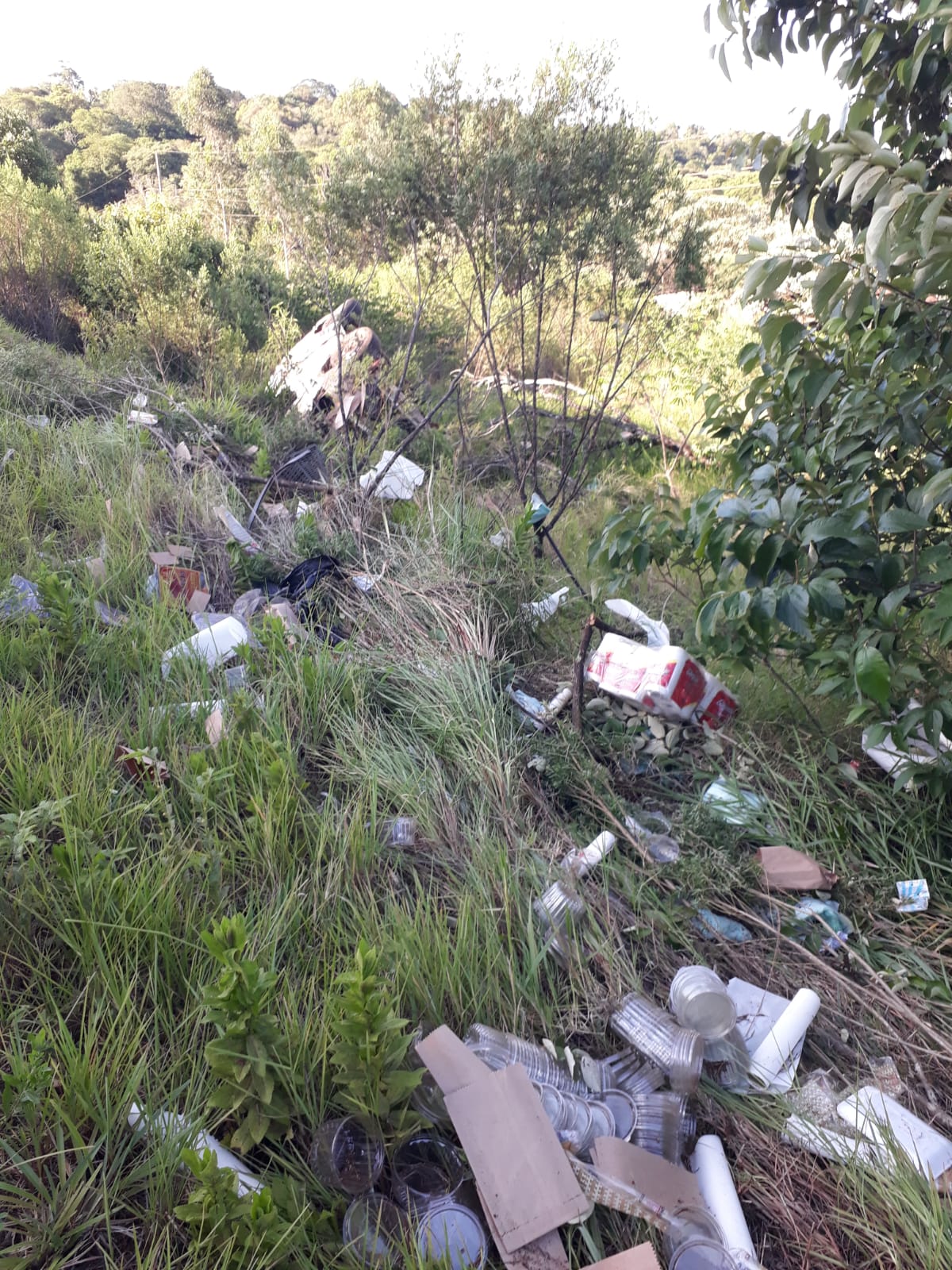 Andresito: Bombero Voluntario de Puerto Iguazú falleció en un siniestro vial