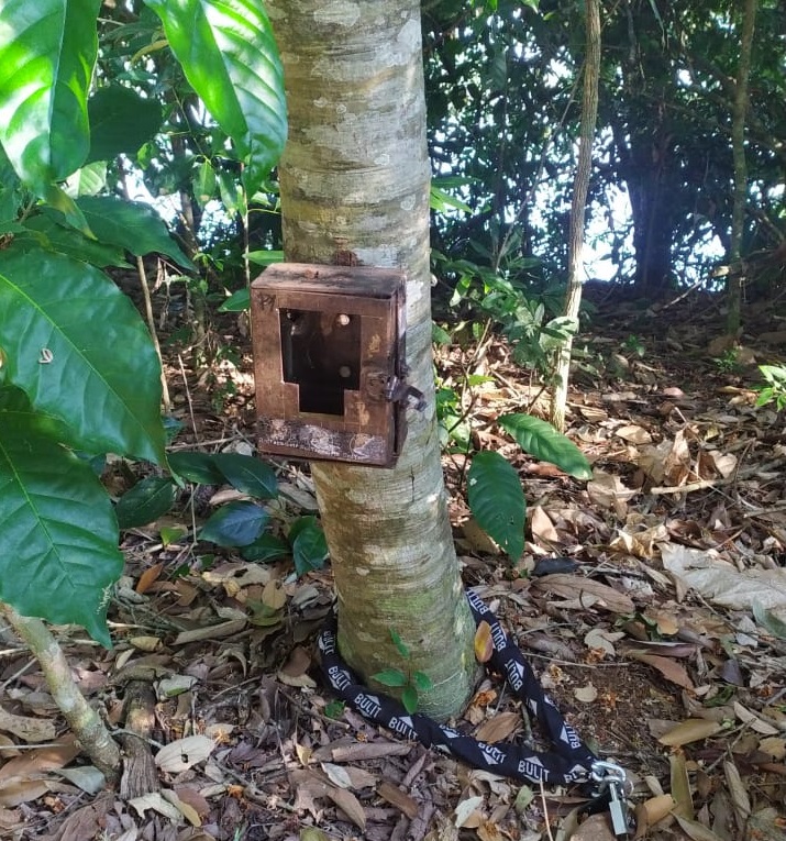 Solicitaron mayor seguridad antes de continuar con el monitoreo de Yaguaretés en el Parque Nacional Iguazú