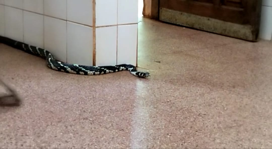 Ante la ausencia de turistas, una Ñacanina disfruta del paseo Garganta del Diablo