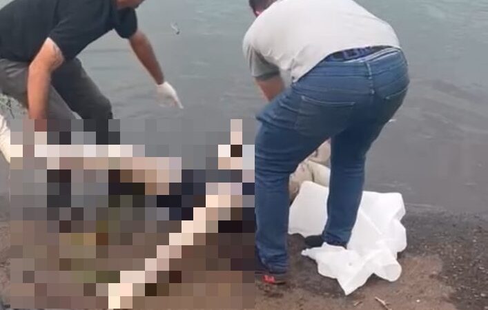Encontraron un cuerpo en el rio Paraná y buscan identificarlo