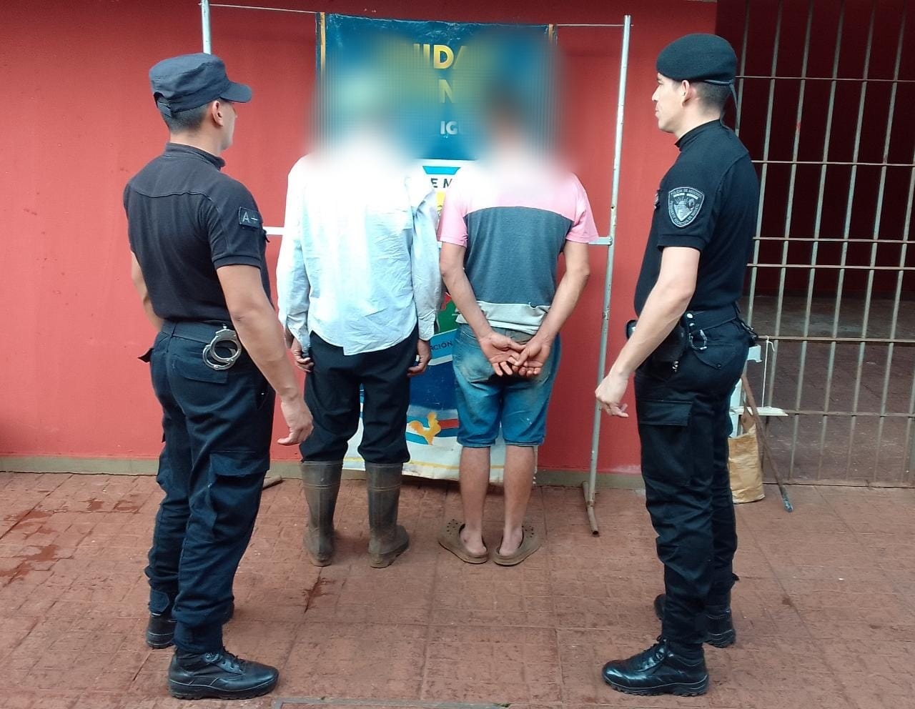 Encontraron muerto a un brasileño en Andresito con mordeduras de cerdos: Hay dos detenidos