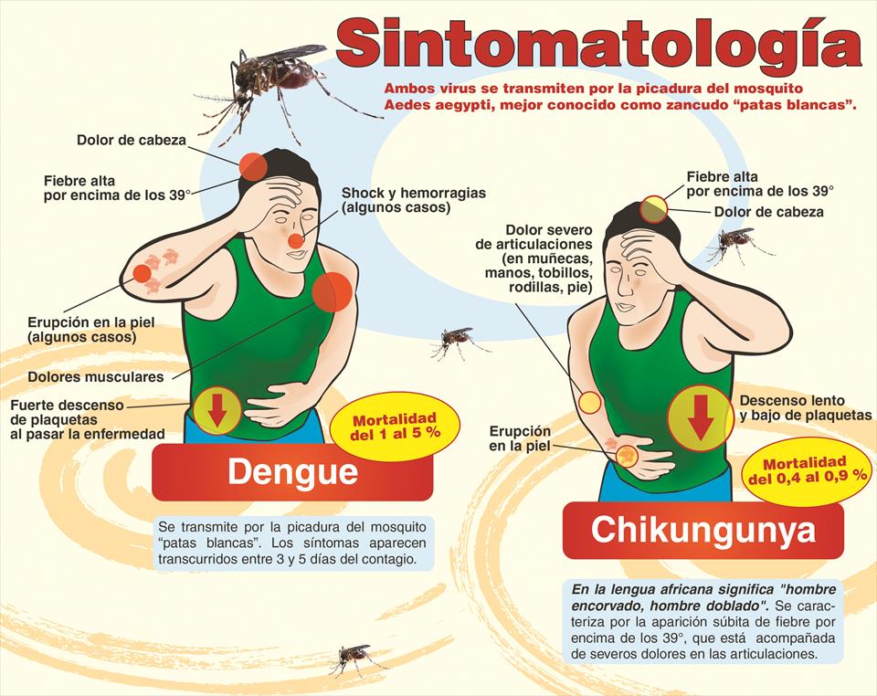 Chikungunya: ¿Qué es y cuáles son los síntomas?