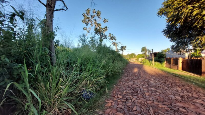 Vecinos denuncian que arrojan animales muertos y residuos en un terreno abandonado