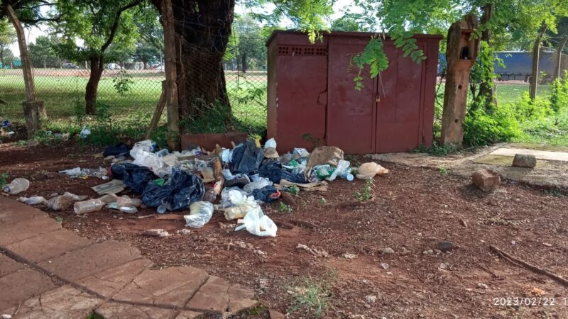 Iguazú: Se multiplican los mini basurales por la falta de recolección de residuos