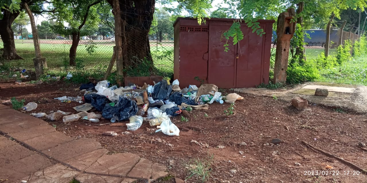 Iguazú: Se multiplican los mini basurales por la falta de recolección de residuos