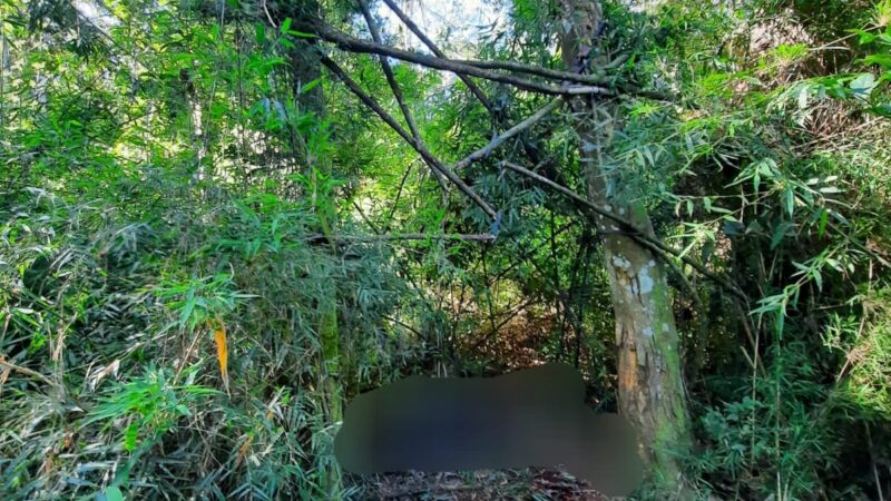 Investigan la muerte de un cazador que se habría disparado accidentalmente en el Parque Urugua-í