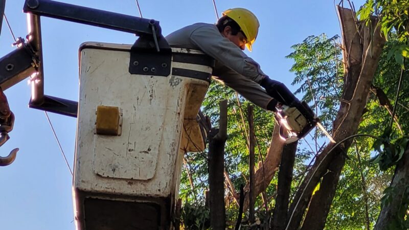 Llevaron adelante un operativo de poda en Posadas