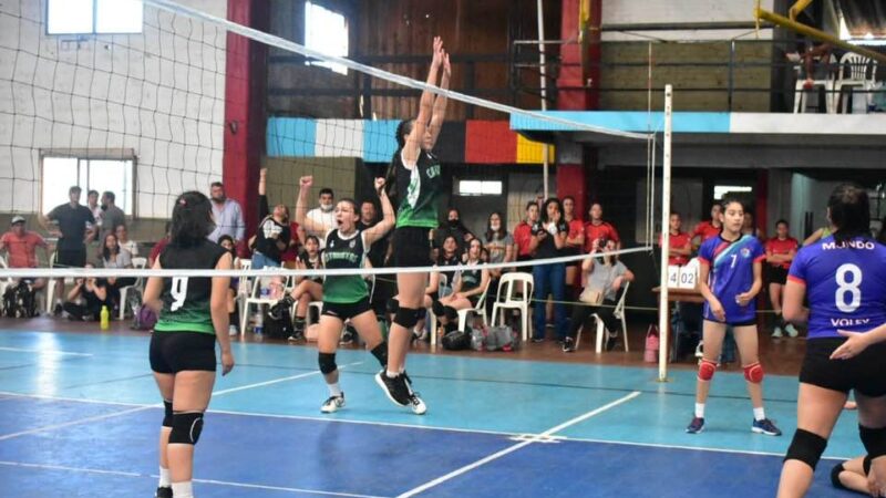 Todo listo para el amistoso entre Las águilas de Georgia Southern y selección misionera de vóley en Iguazú