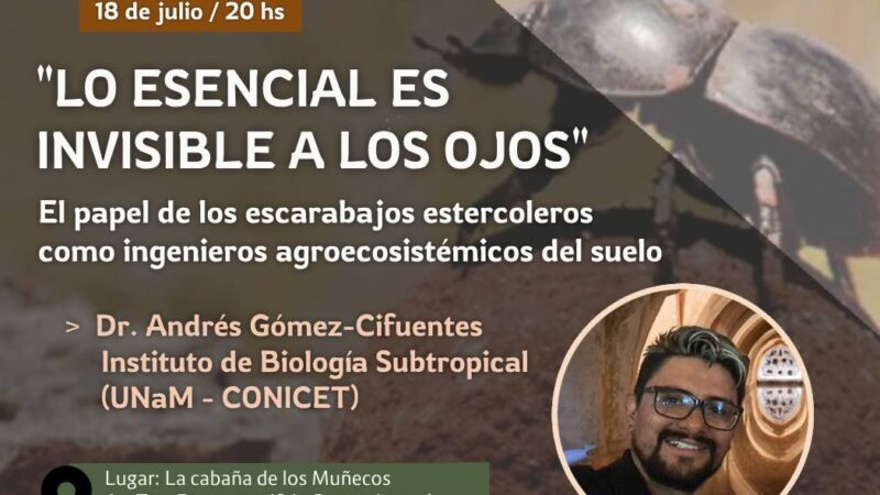 Primer Happy Hour Científico: por qué los escarabajos son imprescindibles para fomentar la riqueza del suelo