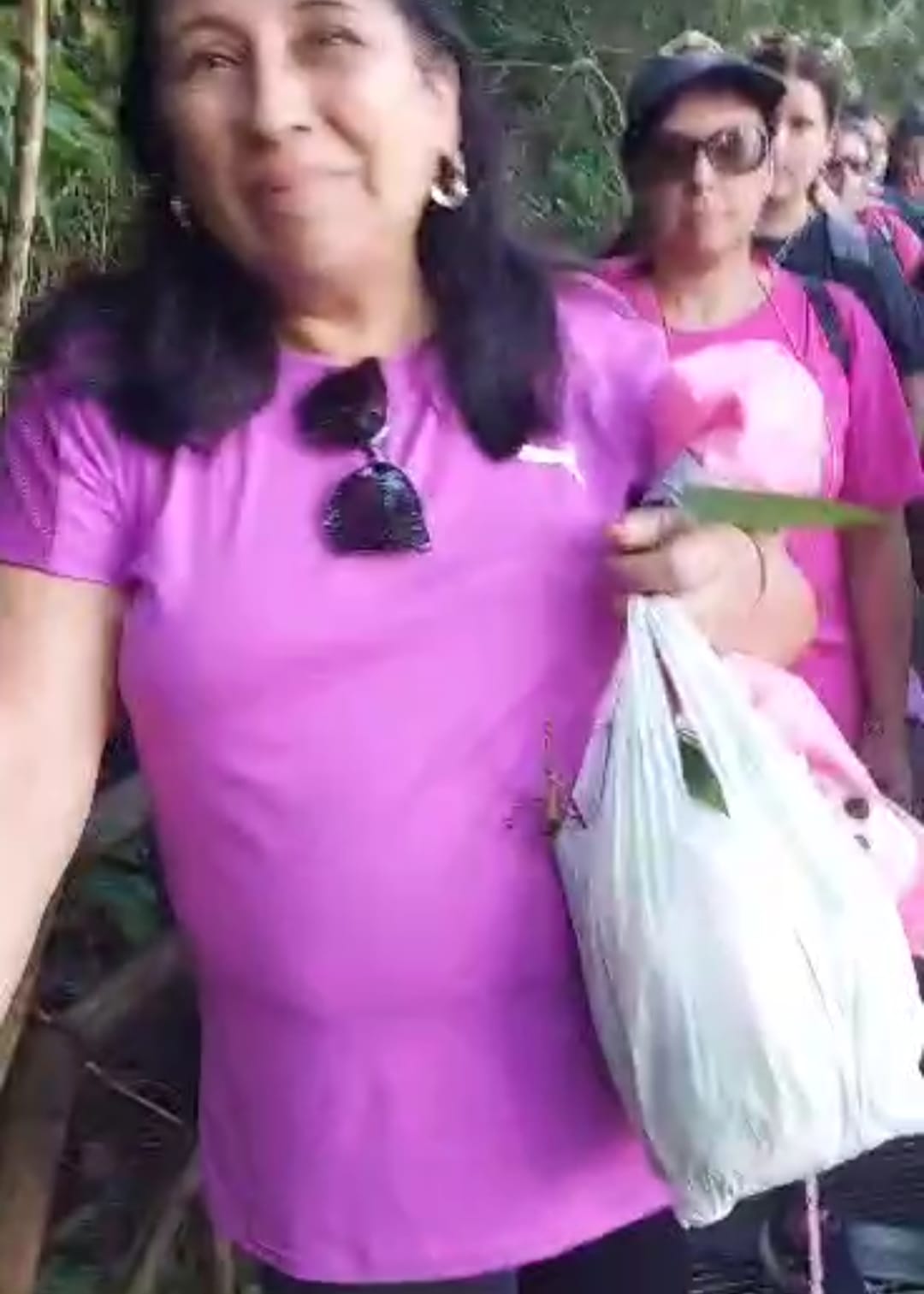 Escracharon a una turista por colectar una planta en el Parque Nacional Iguazú