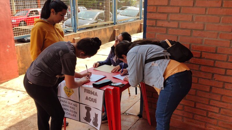 Mas de 10 mil personas apoyaron el pedido de castraciones masivas en Iguazú