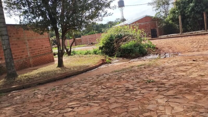 Mini basurales, un problema de no acabar en Iguazú