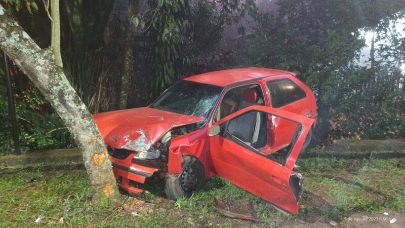 Chocó contra un árbol y quedó atrapado en el habitáculo